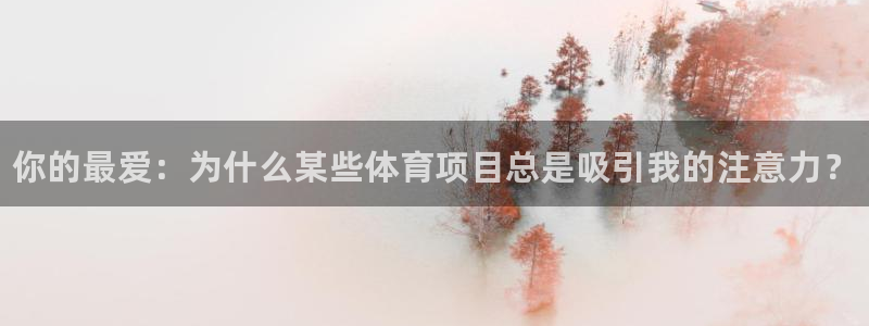 bsports官网 必一运动