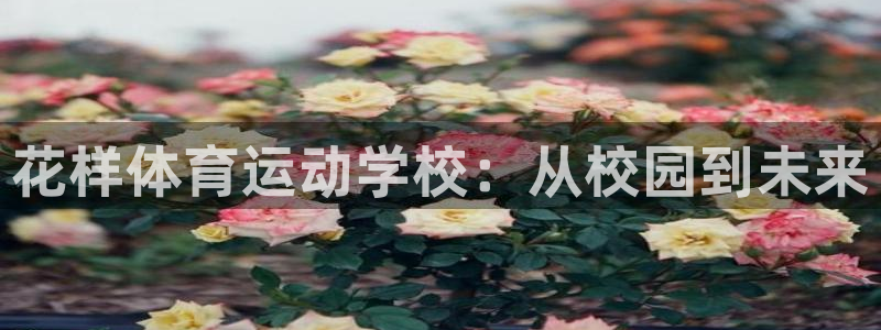 必一运动官网