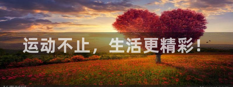 必一运动体育官网入口