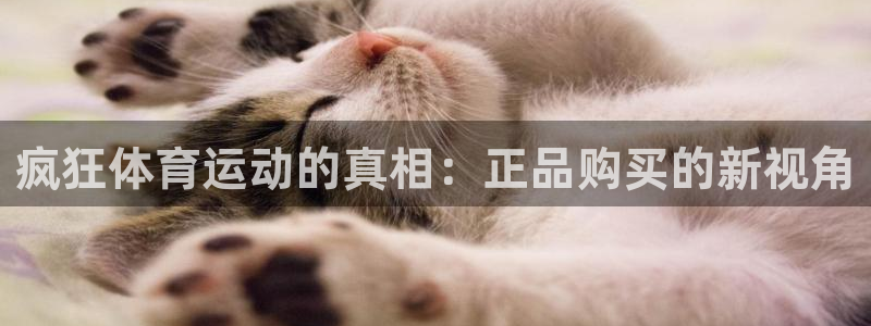 必一运动bsport体育