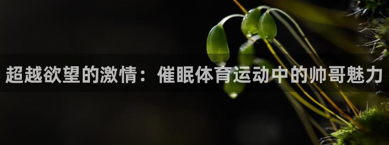 必一运动官网