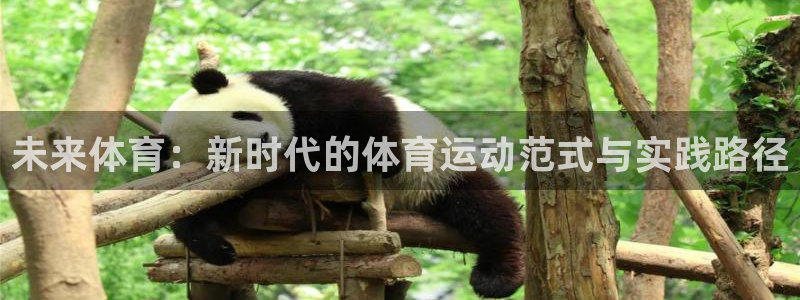 bsports必一运动