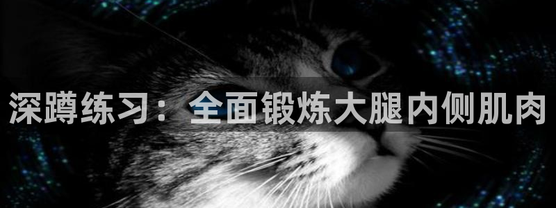bsport必一运动