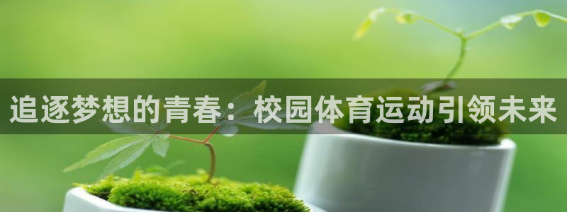 必一运动官网