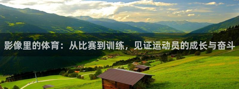 必一运动体育官网