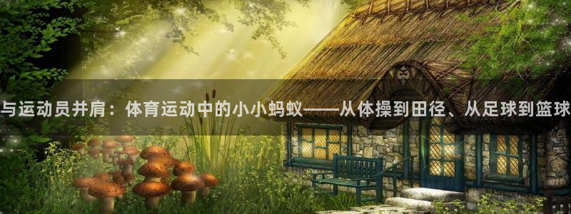 bsports必一运动