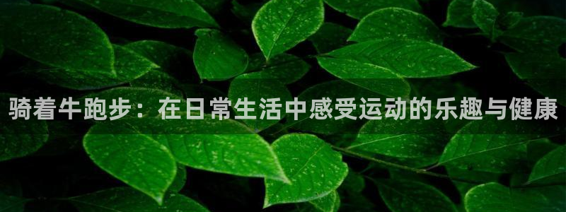 b体育必一运动官网