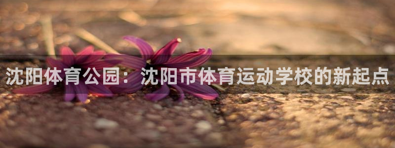 必一运动bsport体育