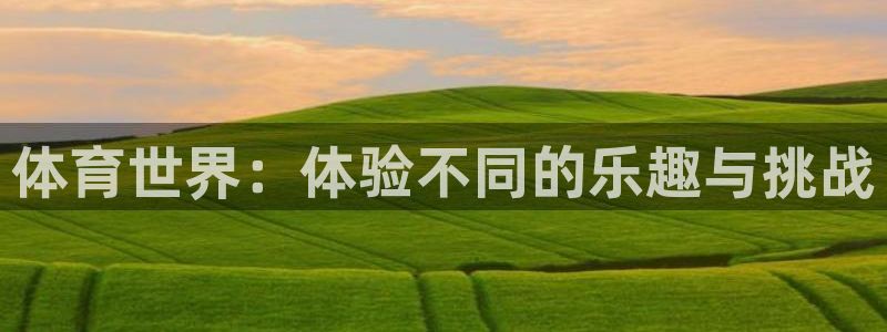 必一运动bsport体育