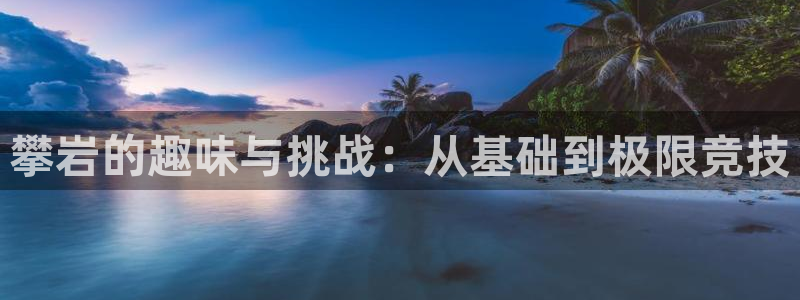bsports官网 必一运动
