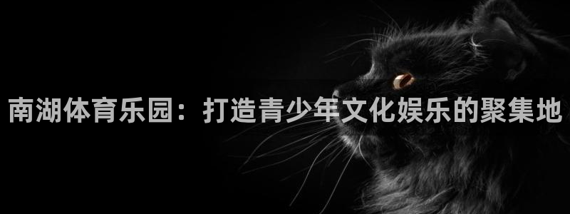 bsport必一运动