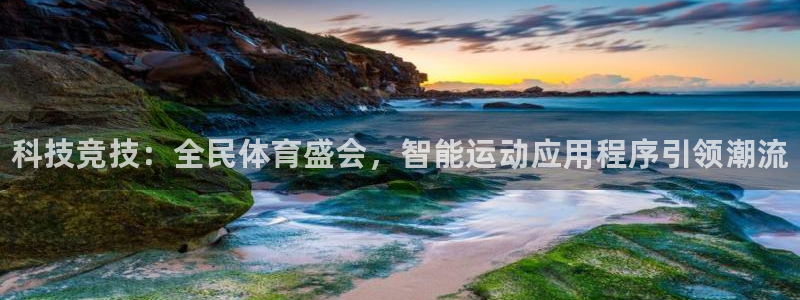 必一运动体育官网
