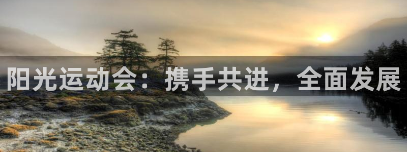 bsports官网 必一运动