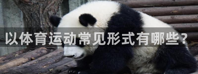 bsport必一运动