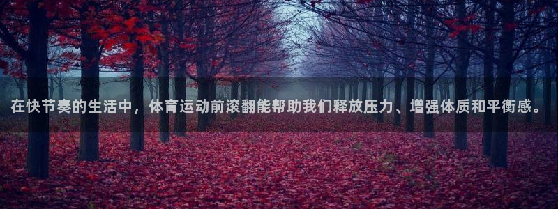 必一运动官网入口