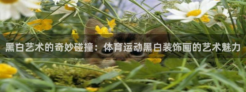 必一运动官网