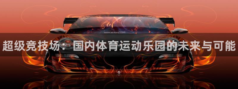 必一运动体育官网入口
