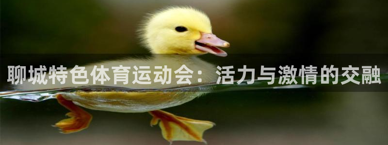 bsport必一运动