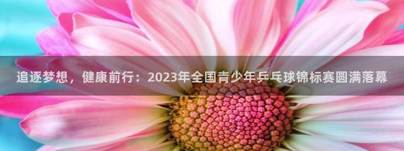 必一运动体育官网入口