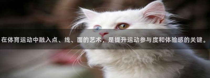 必一运动app