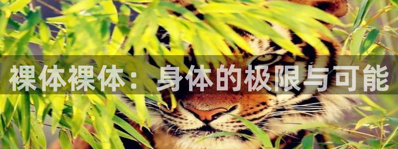 必一运动官网入口