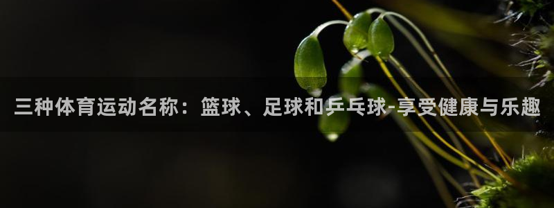 bsport必一运动