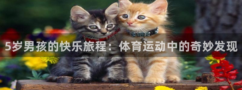 必一运动app