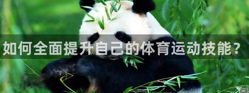 必一运动app