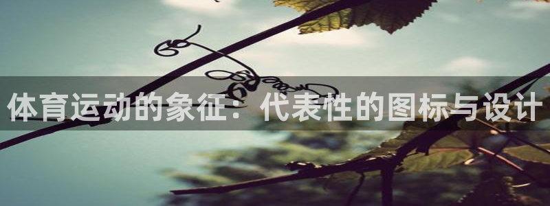 bsports必一运动