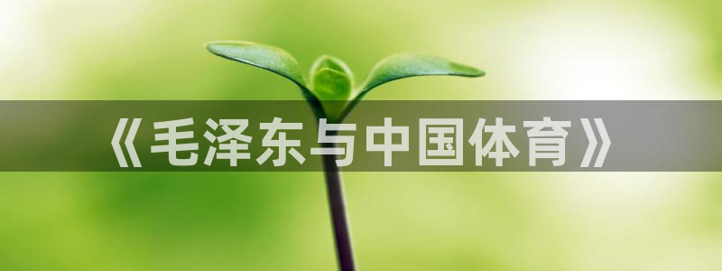 bsports官网 必一运动