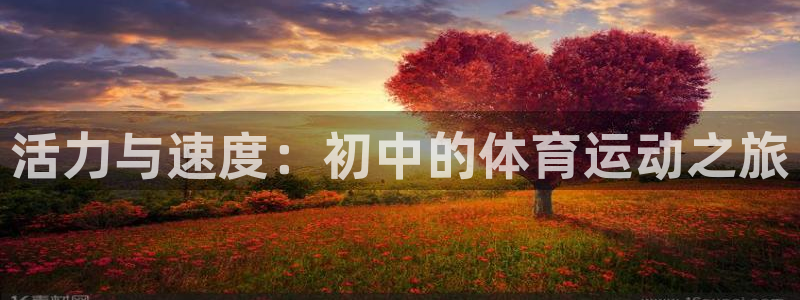 bsports必一运动