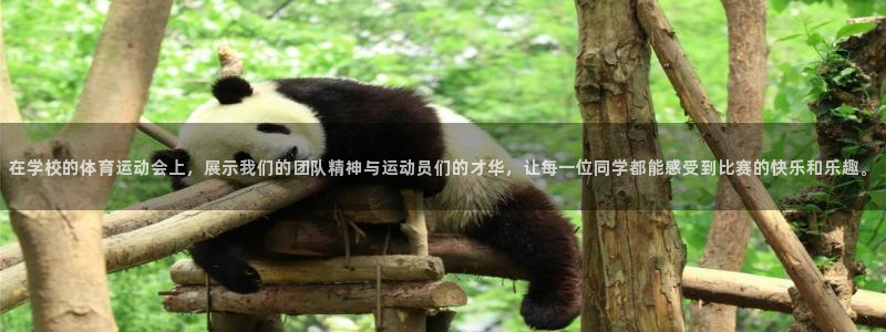 必一运动