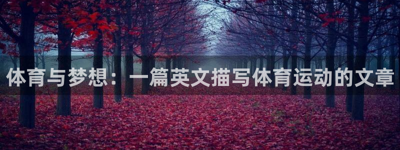 必一运动app